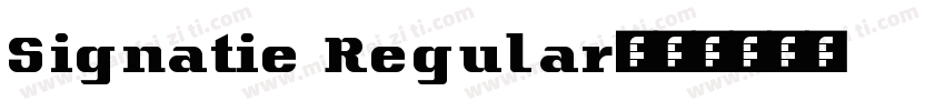 Signatie Regular字体转换